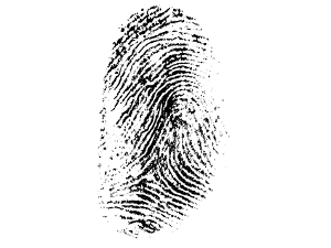 LastPass Falls To The Hacking Community