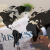 Cloud Computing: Transforming Business Infrastructure